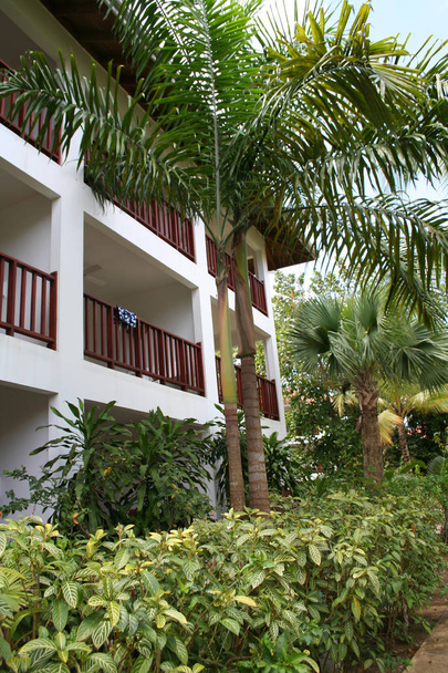 Bujny tropikalny balkon hotelowy. - Zdjęcie, obraz