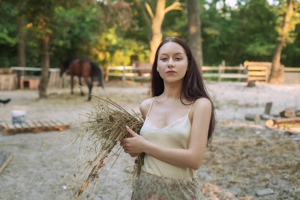 Woman gathering hay for a horse. - Valokuva, kuva