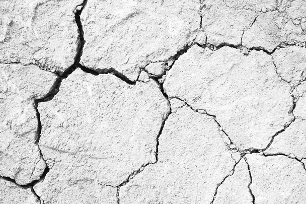 suolo incrinato, effetti della siccità, erosione, texture di fondo
 - Foto, immagini