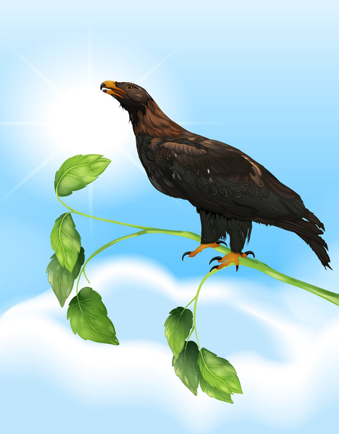 El águila
 - Vector, imagen