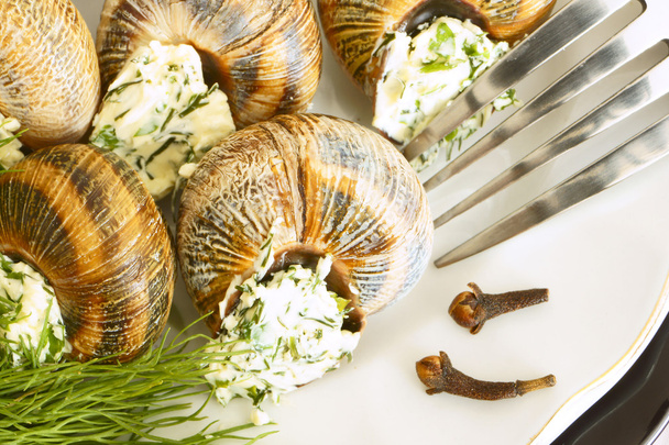 A snail with dill and parsley. - Zdjęcie, obraz