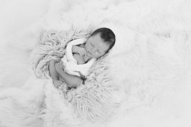 newborn baby sleeps wrapped in a blanket - Photo, image