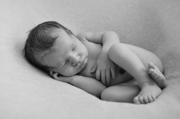 naked newborn baby sleeping curled up in a ball - 写真・画像