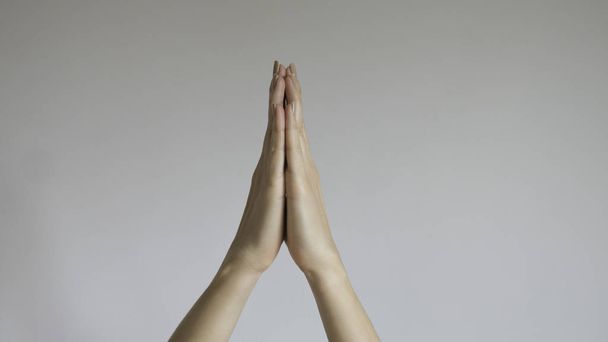 女性の祈りの手、孤立した背景 - クローズアップ.  - 写真・画像