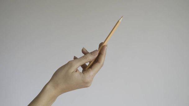  İzole arka planda ahşap renkli bir kalem tutan kadın eli - yakın - Fotoğraf, Görsel