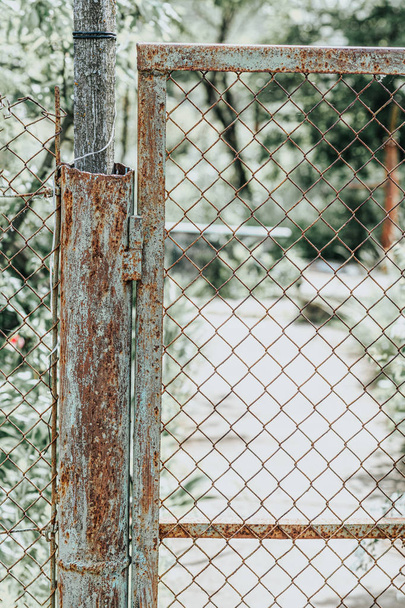 Old metal fence, close up - Фото, зображення