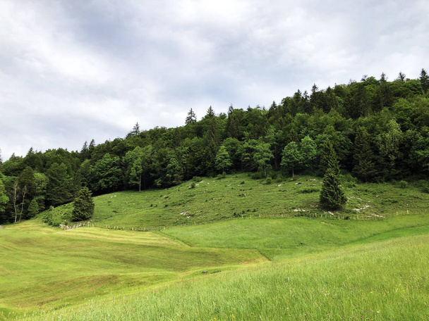 Alpine pastures and grasslands in the valley of Wagital or Waegital and by the alpine Lake Wagitalersee (Waegitalersee), Innerthal - Canton of Schwyz, Switzerland - Photo, Image