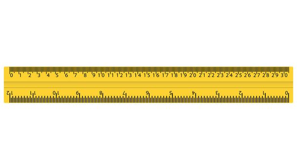 пластикова жовта лінійка з см і дюймами
 - Вектор, зображення