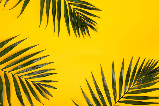 tropical leaves on yellow background. Summer creative flat lay. - Fotoğraf, Görsel