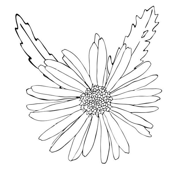 Квітковий шаблон розмальовки з чорною лінією квітки
 - Вектор, зображення