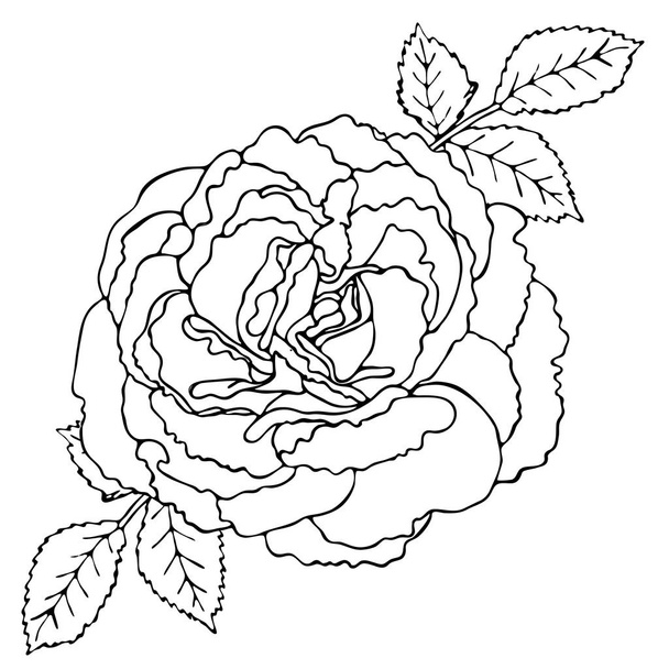 Floral coloring template with black line flower - Vector, Image