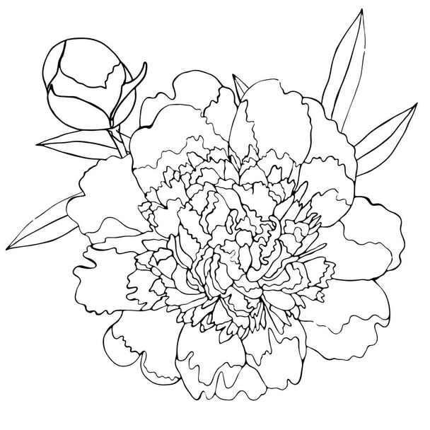 Kukka väritys malli musta viiva kukka
 - Vektori, kuva