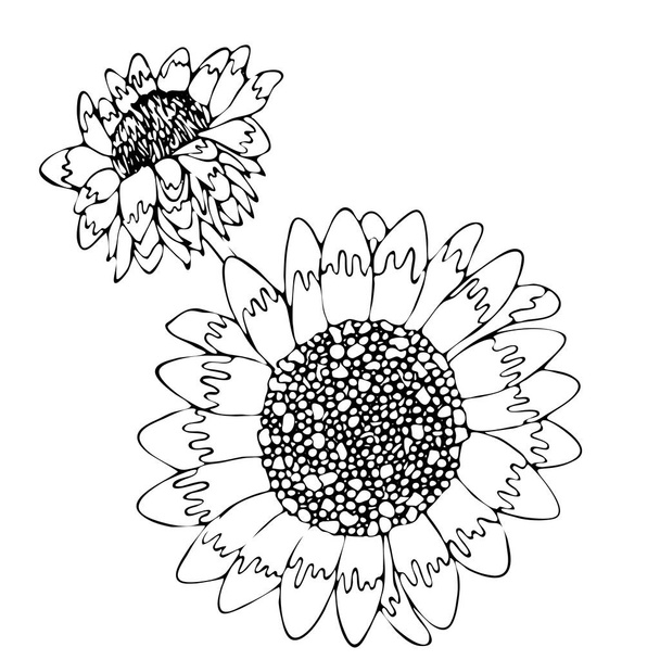 黒い線の花と花の着色テンプレート - ベクター画像