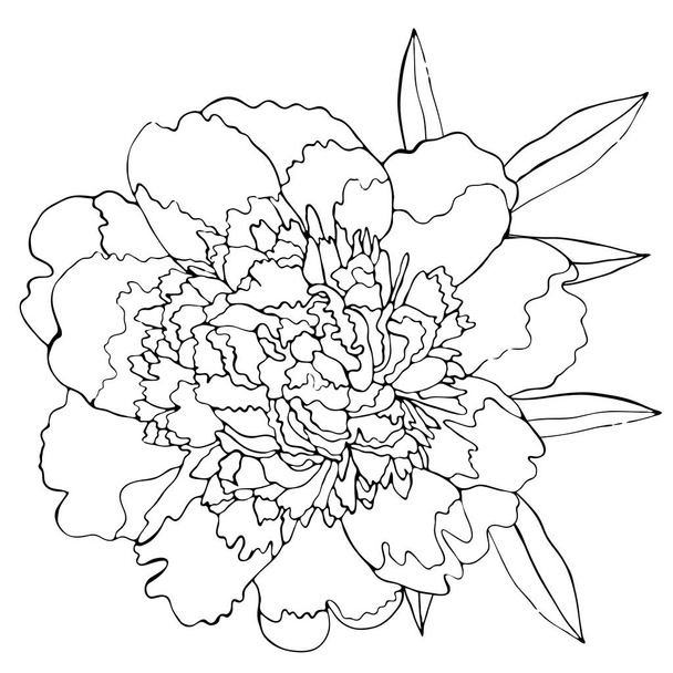 Floral coloring template with black line flower - Wektor, obraz