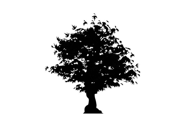 vector silhouette maple tree icon isolated on white background. Acer Palmatum, Deshojo, Japanese maple plant bonsai tree. Scarlet Princess Dwarf Japanese maple in black and white color  - Vector, Imagen