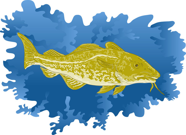 Codfish - Vektor, obrázek
