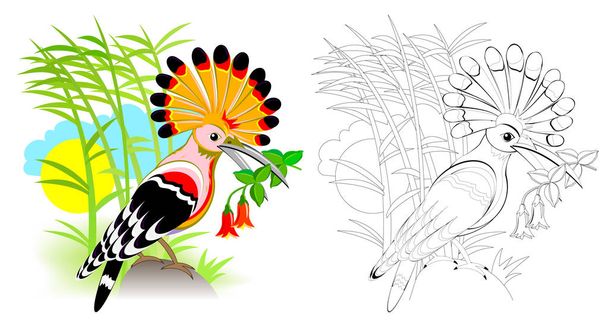Colorful and black and white page for coloring book for kids. Fantasy illustration of cute hoopoe with bright feathering. Printable worksheet for children. Vector cartoon image. - Wektor, obraz