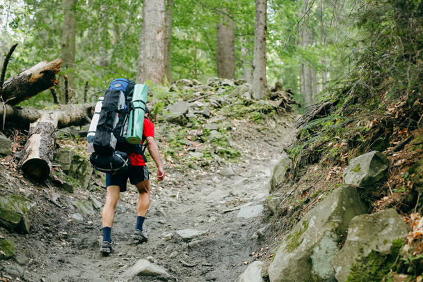 Mladý člověk turistika s batohem v lese  - Fotografie, Obrázek