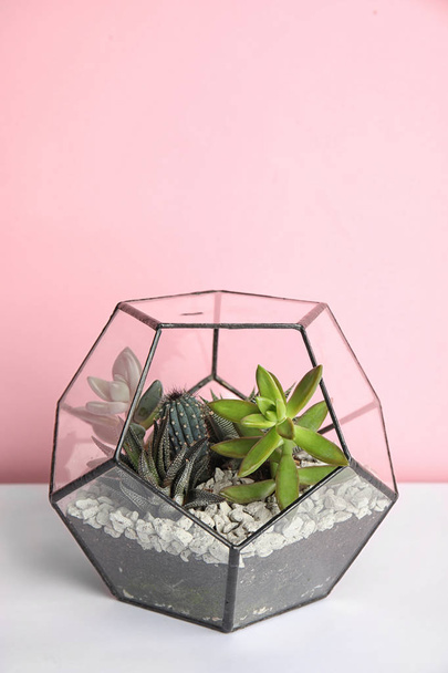 Glass florarium with different succulents on table against color background, space for text - Fotó, kép