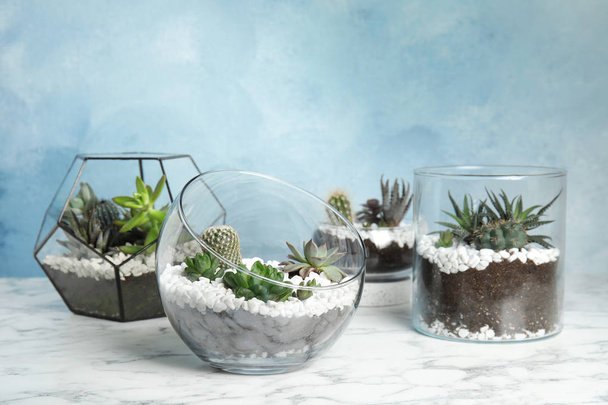 Glass florariums with different succulents on table against color background, space for text - Fotografie, Obrázek