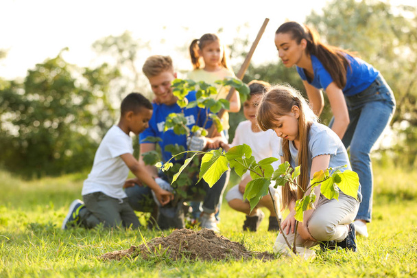 Kids planting trees with volunteers in park - Foto, imagen