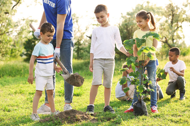 Bambini piantare albero con volontario nel parco
 - Foto, immagini