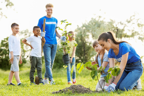 Kids planting trees with volunteers in park - Photo, image
