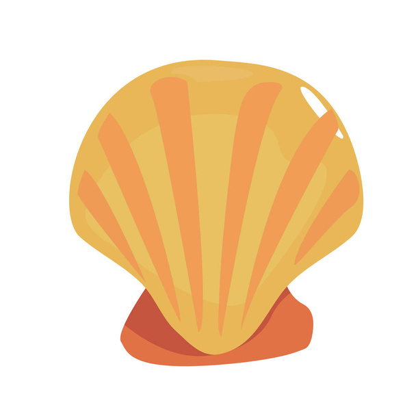 scallop sea shell on white background - Vector, Image