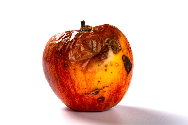 vista lateral manzana podrida sobre un fondo blanco - Foto, imagen