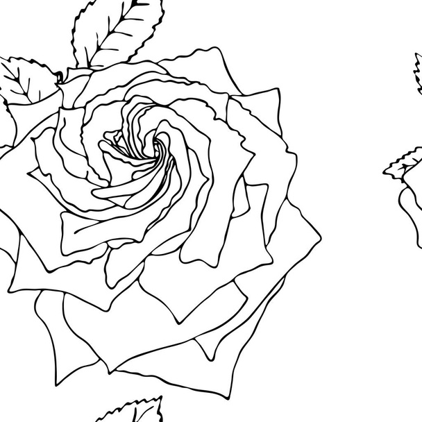 Квітковий вектор безшовний візерунок з чорною лінією квітки
 - Вектор, зображення