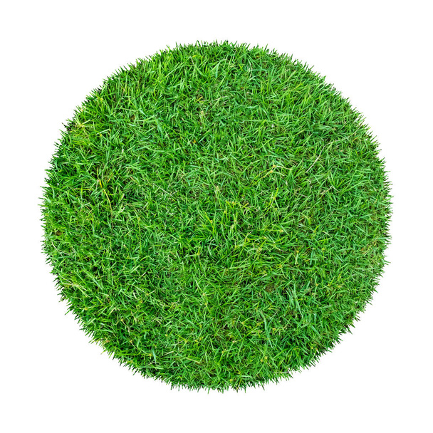 Abstract green grass texture for background. Circle green grass pattern isolated on a white background with clipping path. - Photo, Image