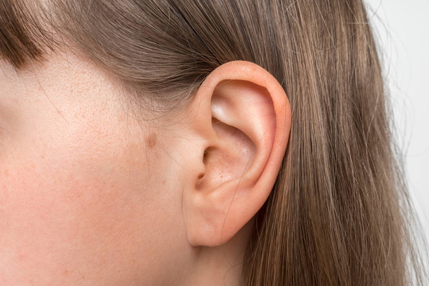 Κοντινό του ανθρώπινου κεφαλιού με θηλυκό αυτί - Φωτογραφία, εικόνα