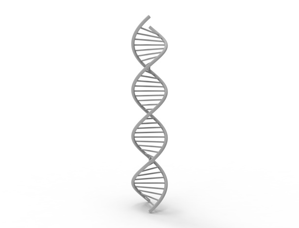 Beyaz arkaplanda izole edilmiş 3d DNA dizisi - Fotoğraf, Görsel