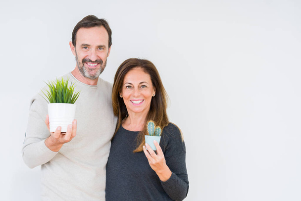 Μεσήλικη ζευγάρι που κρατά τα φυτά πάνω από το απομονωμένο φόντο με ένα χαρούμενο πρόσωπο που στέκεται και χαμογελά με ένα σίγουρο χαμόγελο που δείχνει τα δόντια - Φωτογραφία, εικόνα