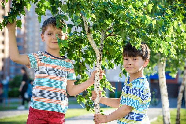 Dois meninos brincam perto de brotos de bétula crianças tem alergia à árvore florescente. Conceito de saúde
 - Foto, Imagem