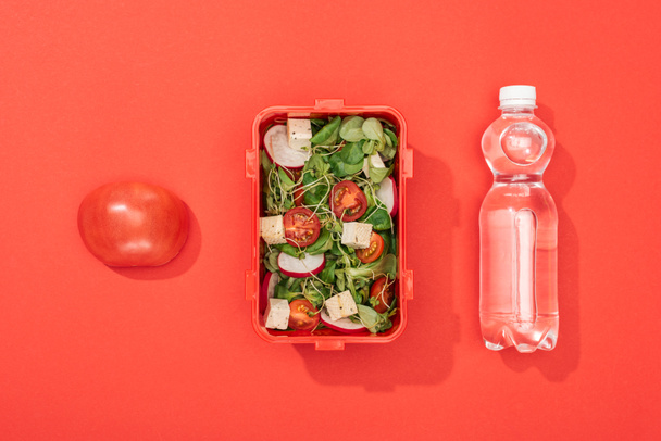 вид сверху на яблоко, бутылка с водой и коробка для обеда на красном фоне
 - Фото, изображение