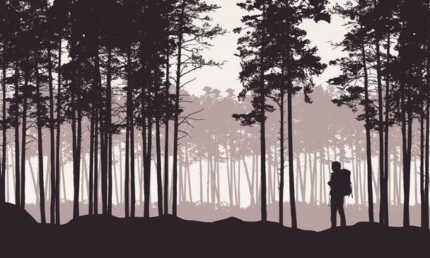 realistische Darstellung der Landschaft mit Nadelwald mit Kiefern unter Retro-Himmel. Mann Wanderer mit Rucksack auf einem Ausflug oder Spaziergang - Vektor - Vektor, Bild