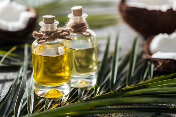 foco seletivo de garrafas com óleo de coco em folhas de palma verde perto de cocos
 - Foto, Imagem