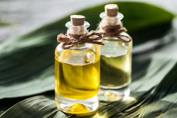selectieve focus van flessen met kurken en kokosolie op groene Palm bladeren - Foto, afbeelding