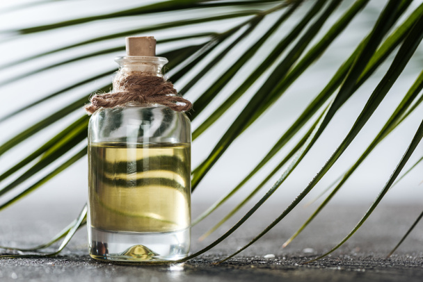 селективный фокус бутылки с кокосовым маслом возле зеленого пальмового листа
 - Фото, изображение
