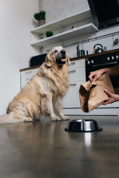 Vista recortada de la mujer vertiendo comida para mascotas en un tazón de oro perro retriever
  - Foto, imagen