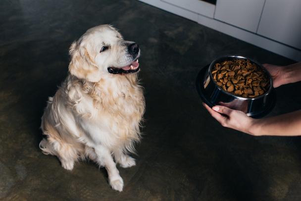 Vue recadrée de la femme tenant bol avec nourriture pour animaux de compagnie près de chien adorable golden retriever
  - Photo, image