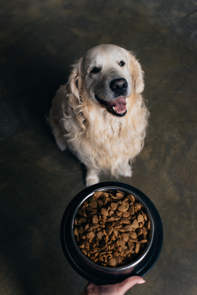 Περικομμένη θέα της γυναίκας που κρατά το μπολ με τροφή για ζώα κοντά στο χαριτωμένο χρυσό σκυλί  - Φωτογραφία, εικόνα