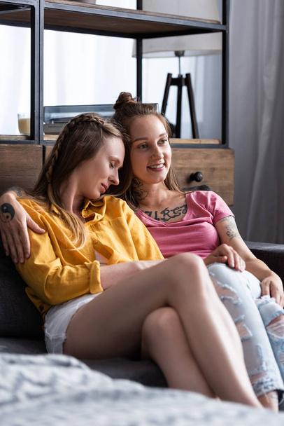 two pretty lesbians embracing while sitting on sofa in living room - 写真・画像