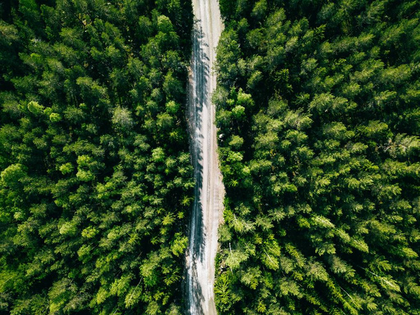Aerial view of green summer forest road.  - Fotó, kép