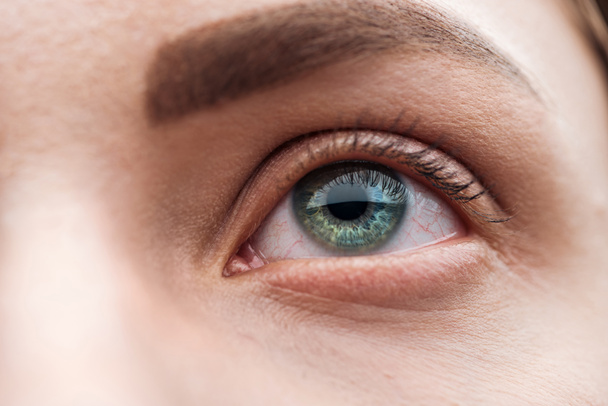 vista de cerca de la mujer joven ojo verde con pestañas y cejas
 - Foto, Imagen