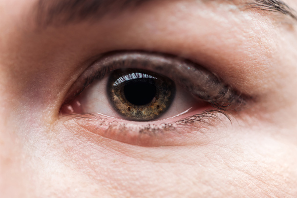 vista de cerca de ojo de mujer adulta con pestañas y cejas mirando a la cámara
 - Foto, Imagen