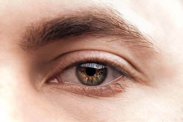 vue rapprochée de la jeune femme oeil brun avec cils et sourcils
 - Photo, image