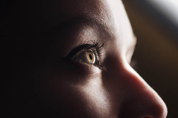 Close-up van jong vrouw oog met wimpers en wenkbrauw op zoek weg in het donker - Foto, afbeelding