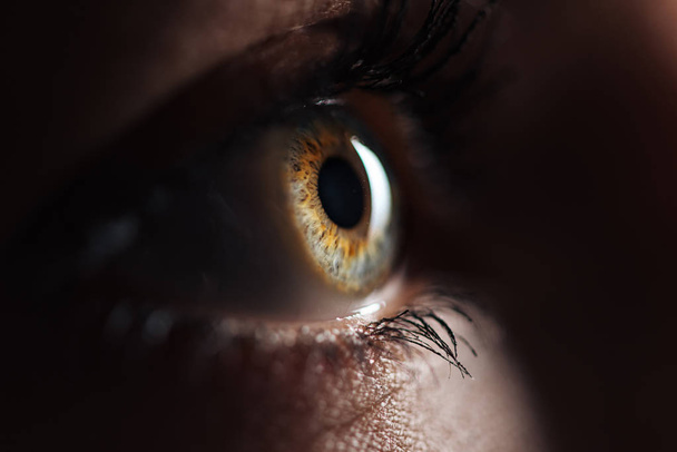 vista de perto do olho humano com pestanas e sobrancelha olhando para longe no escuro
 - Foto, Imagem